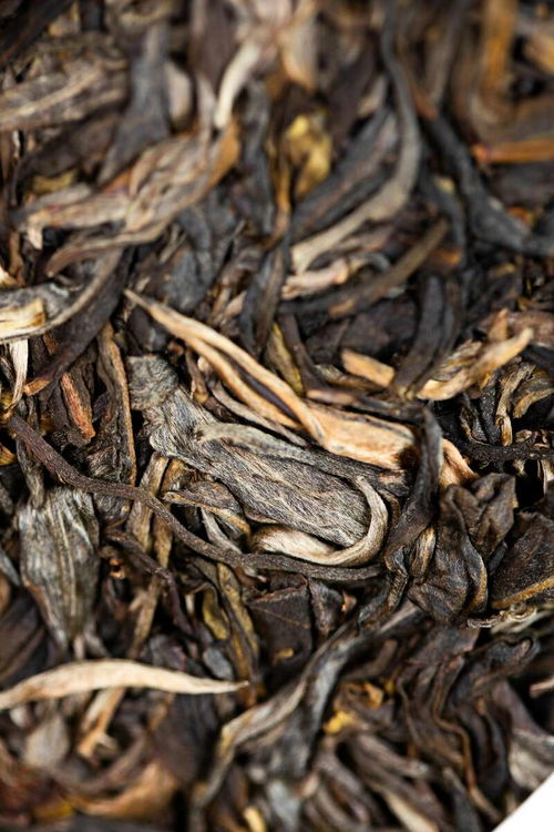 海灣茶業(yè)百福聚首,萬事順?biāo)? />
</span>
<span id=