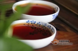 干貨 如何正確沖泡新生普 老生普茶