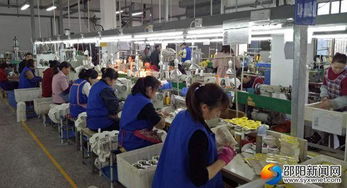 高質量推動快發(fā)展 邵陽洞口經濟開發(fā)區(qū)實現高效推進