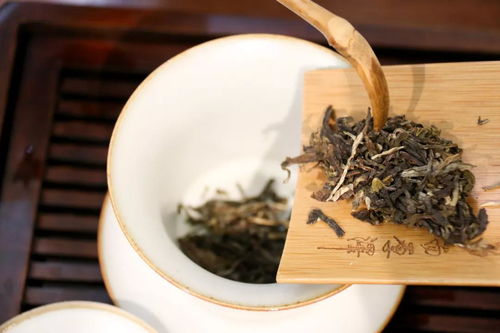 茶中珍品 昌而厚澤 正印系列之藍(lán)印普洱茶