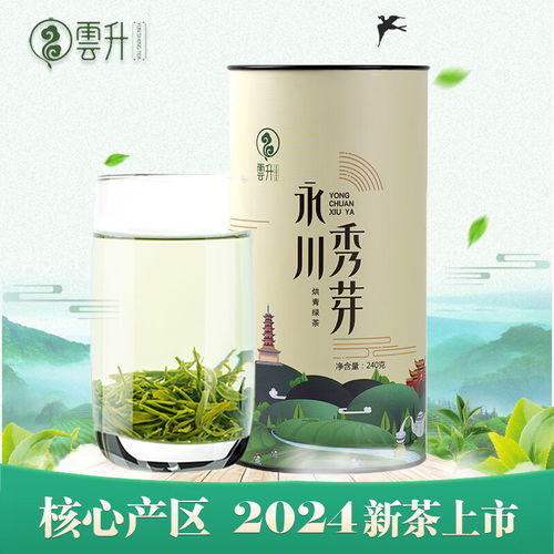 貢牌2024新茶明前特級(jí)龍井茶葉250g紙包春茶高山綠茶
