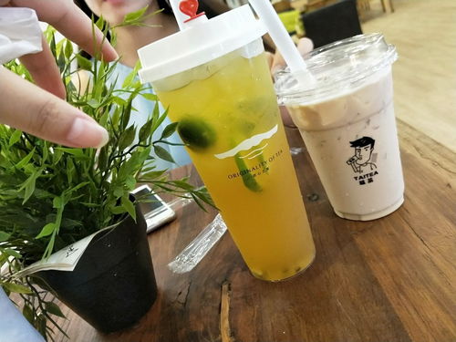 呔茶 專心做茶飲產品