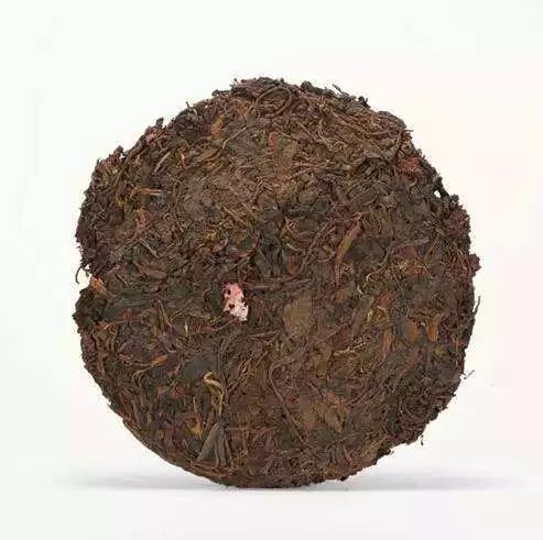 還未開發的金山 普洱老茶