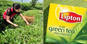 中國茶葉產業(yè)集群品牌聯(lián)盟問世 能為行業(yè)帶來什么