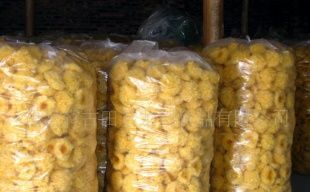 產(chǎn)地直銷，品質(zhì)無憂 古田銀耳（白木耳）的農(nóng)副產(chǎn)品魅力